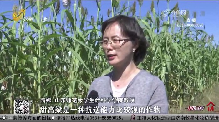 世界杯博彩官网
