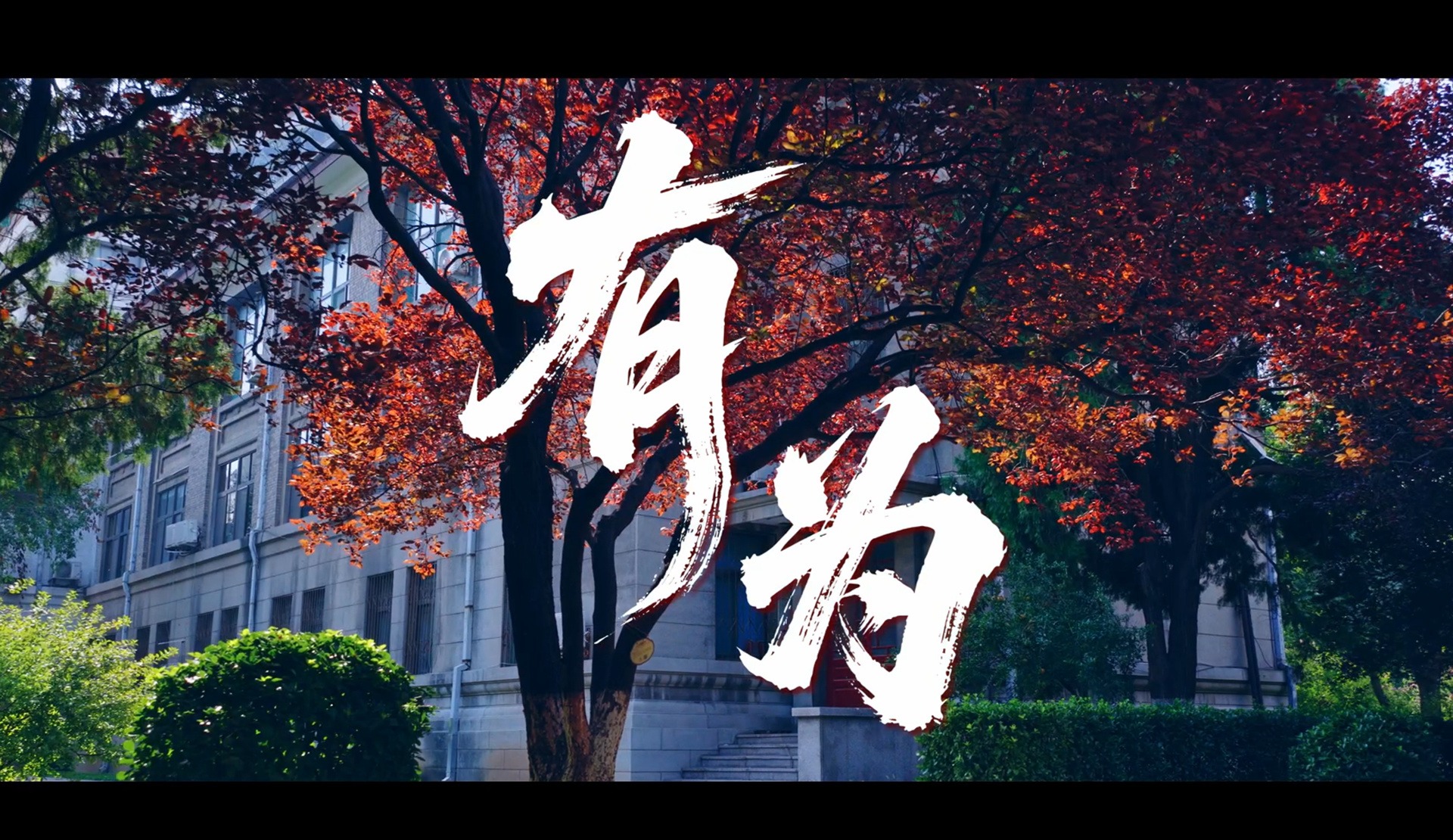 世界杯博彩官网