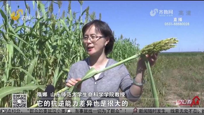 世界杯博彩官网