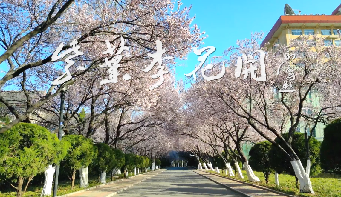 世界杯博彩官网