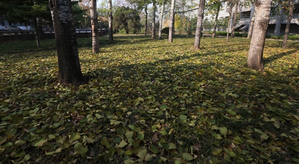 世界杯博彩官网